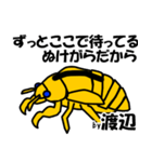 セミのぬけがら渡辺ですが？（個別スタンプ：26）