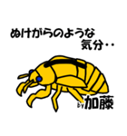 セミのぬけがら加藤ですが？（個別スタンプ：1）