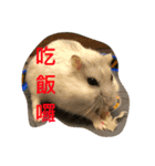 My Hamsters Greeting（個別スタンプ：2）