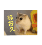 My Hamsters Greeting（個別スタンプ：9）