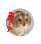 My Hamsters Greeting（個別スタンプ：11）