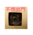 My Hamsters Greeting（個別スタンプ：23）