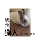 Shimizu rabbit were killed series（個別スタンプ：14）