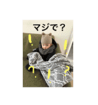 こうへい殿 スタンプ 3ヶ月（個別スタンプ：3）