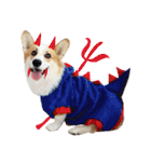 SUPER THE CORGI (ENG)（個別スタンプ：21）