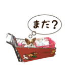 ちょこっとちょこぴ Pert.2（個別スタンプ：12）