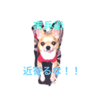 犬、ファミリー（個別スタンプ：6）