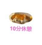 the welsh corgi you can't work7（個別スタンプ：23）