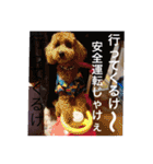 wan wan dog is poo and friend（個別スタンプ：15）