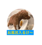 wan wan dog is poo and friend（個別スタンプ：19）