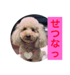 wan wan dog is poo and friend（個別スタンプ：20）