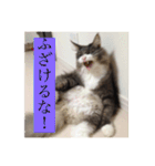 いろいろなモカ（個別スタンプ：18）