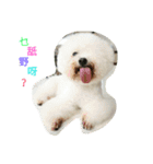 yiu dog dog（個別スタンプ：8）