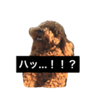 ReactionAnimals（個別スタンプ：1）