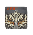 butterflylife（個別スタンプ：7）