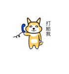 shiba dog daily part 1（個別スタンプ：3）