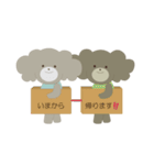 仲良しトイプーちゃん（個別スタンプ：31）