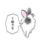 シンプル敬語！うさぎのちゃんた（個別スタンプ：3）