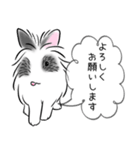 シンプル敬語！うさぎのちゃんた（個別スタンプ：7）