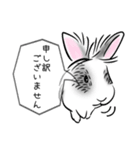 シンプル敬語！うさぎのちゃんた（個別スタンプ：16）