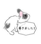 シンプル敬語！うさぎのちゃんた（個別スタンプ：30）