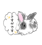 シンプル敬語！うさぎのちゃんた（個別スタンプ：35）