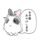 シンプル敬語！うさぎのちゃんた（個別スタンプ：37）