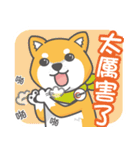 Miru dog life（個別スタンプ：23）