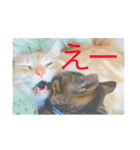 気ままな猫達3（個別スタンプ：39）