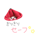 こゆきとなぎさ（個別スタンプ：5）