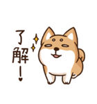 Shiba Says 6（個別スタンプ：5）