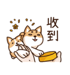 Shiba Says 6（個別スタンプ：6）