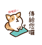 Shiba Says 6（個別スタンプ：11）