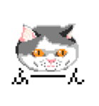 猫のドット絵（個別スタンプ：1）