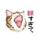 猫のドット絵（個別スタンプ：5）