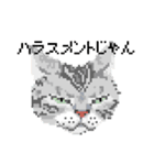 猫のドット絵（個別スタンプ：7）