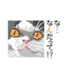 猫のドット絵（個別スタンプ：9）