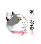 猫のドット絵（個別スタンプ：15）