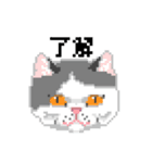 猫のドット絵（個別スタンプ：17）