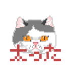 猫のドット絵（個別スタンプ：21）