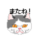 猫のドット絵（個別スタンプ：23）