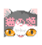 猫のドット絵（個別スタンプ：24）