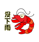 QQ shrimp life-four-Daily life（個別スタンプ：13）