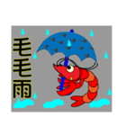 QQ shrimp life-four-Daily life（個別スタンプ：21）