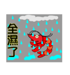 QQ shrimp life-four-Daily life（個別スタンプ：37）