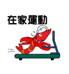 QQ shrimp life-three-Up and down class（個別スタンプ：36）