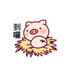 Alumi Pig（個別スタンプ：39）