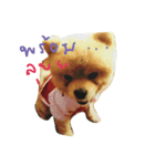 Pui the dog ;)（個別スタンプ：3）