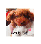 Toy poodle Chappy's daily life3（個別スタンプ：14）