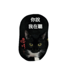 BLACK CUTE CAT BABY（個別スタンプ：2）